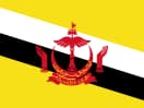 Brunei flag
